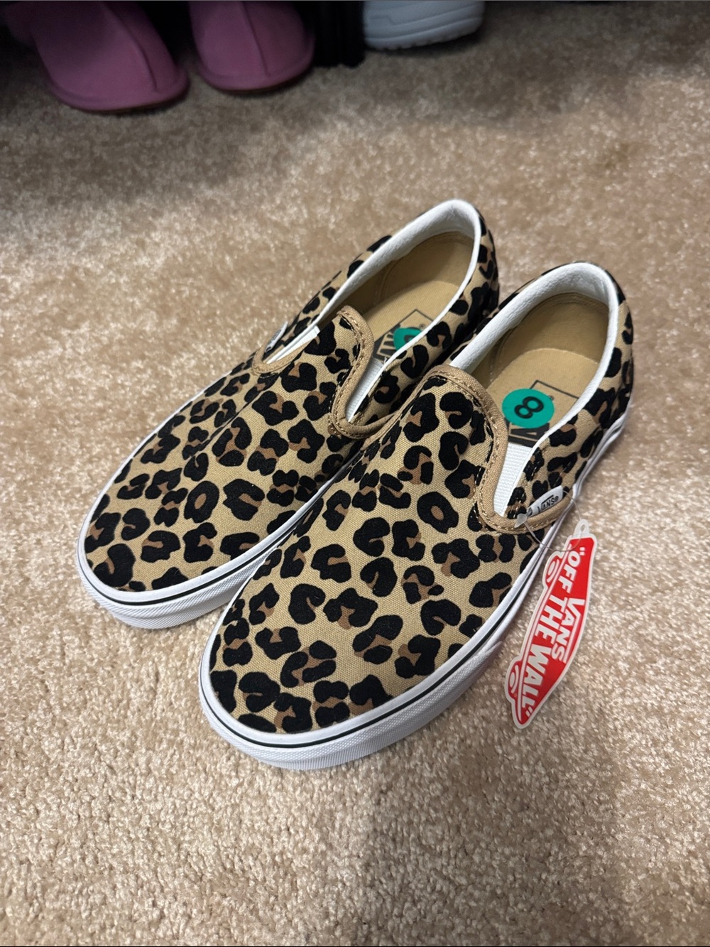 Vans Slip Ons
